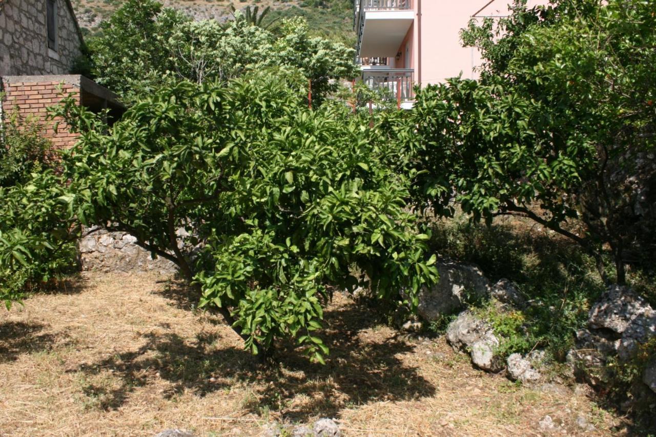 Apartments By The Sea Podaca, Makarska - 6874 외부 사진